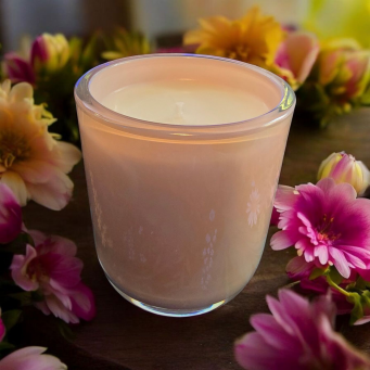 Candles & Home Fragrances