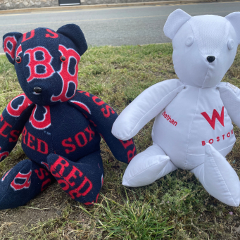 Bears
