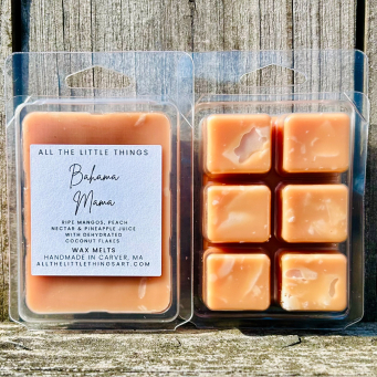 Wax Melt