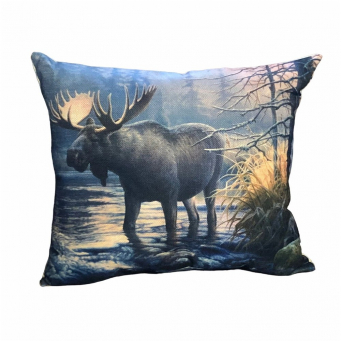 Throw Pillows