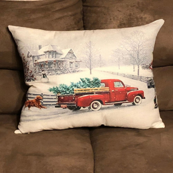 Throw Pillows