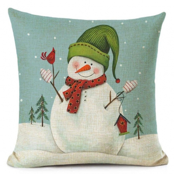 Throw Pillows