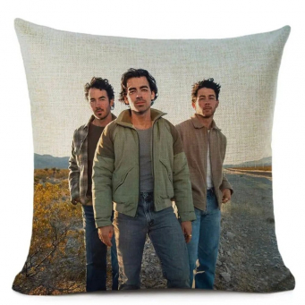 Throw Pillows
