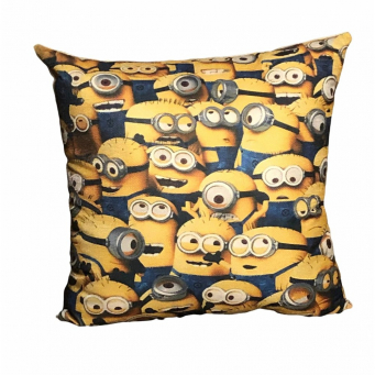 Throw Pillows