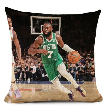 Throw Pillows