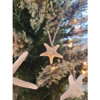 Ornaments