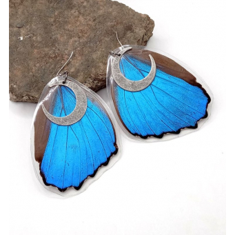 Dangle & Drop Earrings