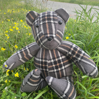 Bears