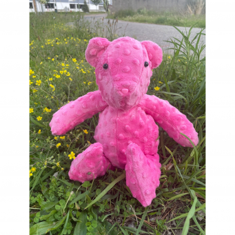 Bears
